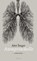 Atemprotokolle, Ales Steger - Gebonden - 9783835353541