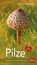 Pilze, Ewald Gerhardt - Paperback - 9783835416543