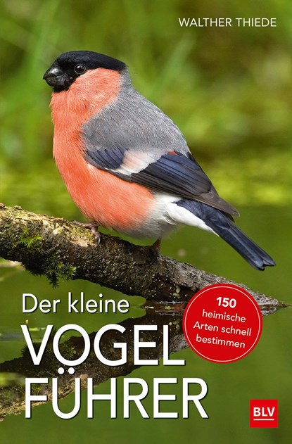 Der kleine Vogelführer, Walther Thiede - Paperback - 9783835417212