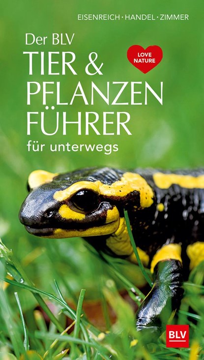 Der BLV Tier & Pflanzenführer, Wilhelm Eisenreich ;  Alfred Handel ;  Ute E. Zimmer - Paperback - 9783835418080