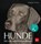 Hunde, Angela Wegmann ; Siegfried Schmitz - Paperback - 9783835418561