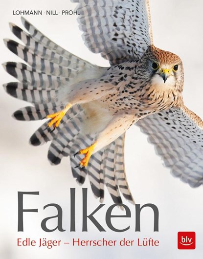 Falken, Michael Lohmann - Gebonden - 9783835418776