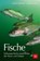 Fische, Harald Gebhardt ; Andreas Ness - Paperback - 9783835418912