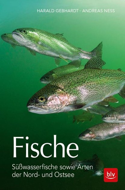 Fische, Harald Gebhardt ; Andreas Ness - Paperback - 9783835418912