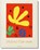 Henri Matisse. Cut-outs. Drawing With Scissors, MATISSE,  Henri - Gebonden - 9783836536295