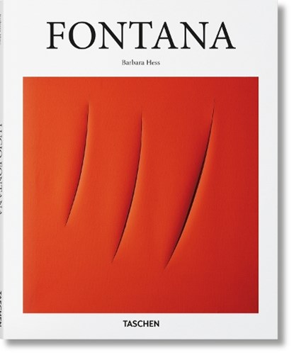 Fontana, HESS,  Barbara - Gebonden - 9783836545945