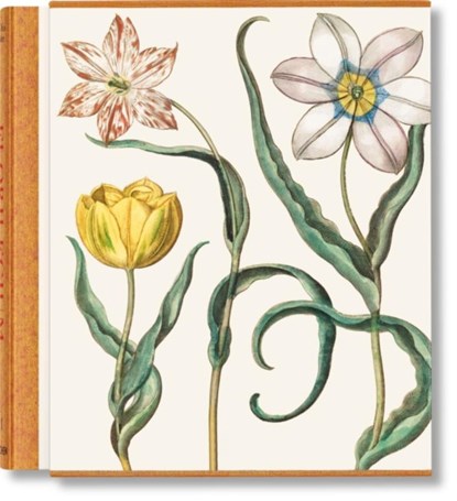 Basilius Besler. The Garden at Eichstatt, Klaus Walter Littger ; Werner Dressendorfer - Gebonden - 9783836547161