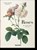 Redoute, H. Walter Lack - Gebonden - 9783836595711