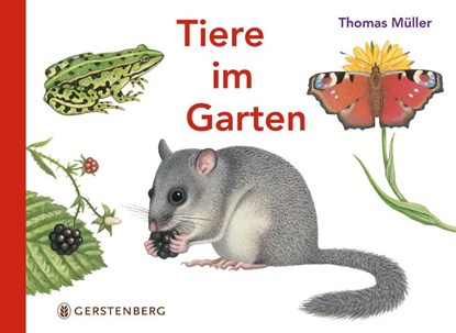 Tiere im Garten, Thomas Müller - Gebonden - 9783836956703