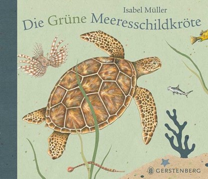 Die Grüne Meeresschildkröte, Isabel Müller - Gebonden - 9783836957809