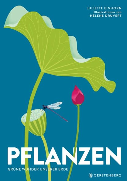 Pflanzen, Hélène Druvert ; Juliette Einhorn - Gebonden - 9783836962285
