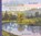 Der Baum und der Fluss, Aaron Becker - Gebonden - 9783836962933