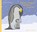 Kleiner Pinguin, bald bist du groß!, Isabel Müller - Gebonden - 9783836963114