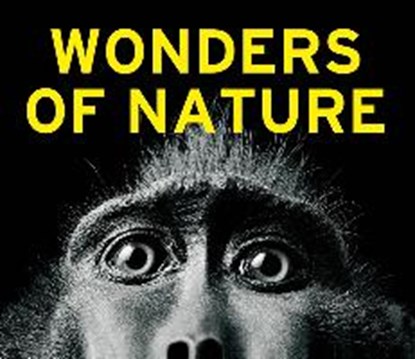 Wonders of Nature, niet bekend - Gebonden - 9783837516098