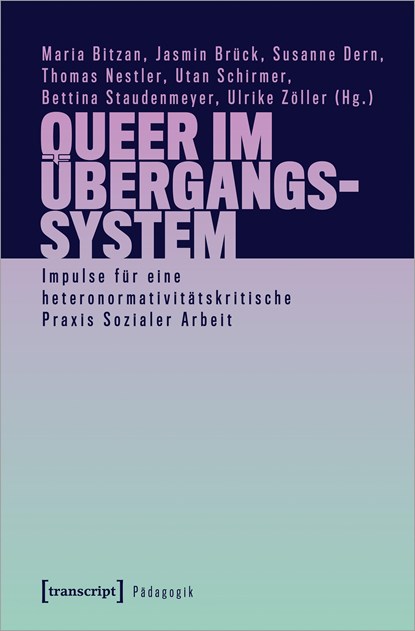 Queer im Übergangssystem, Maria Bitzan ;  Jasmin Brück ;  Susanne Dern ;  Thomas Nestler ;  Utan Schirmer ;  Bettina Staudenmeyer ;  Ulrike Zöller - Paperback - 9783837661163