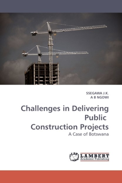 Challenges in Delivering Public Construction Projects, Ssegawa J K ; A B Ngowi - Paperback - 9783838304519