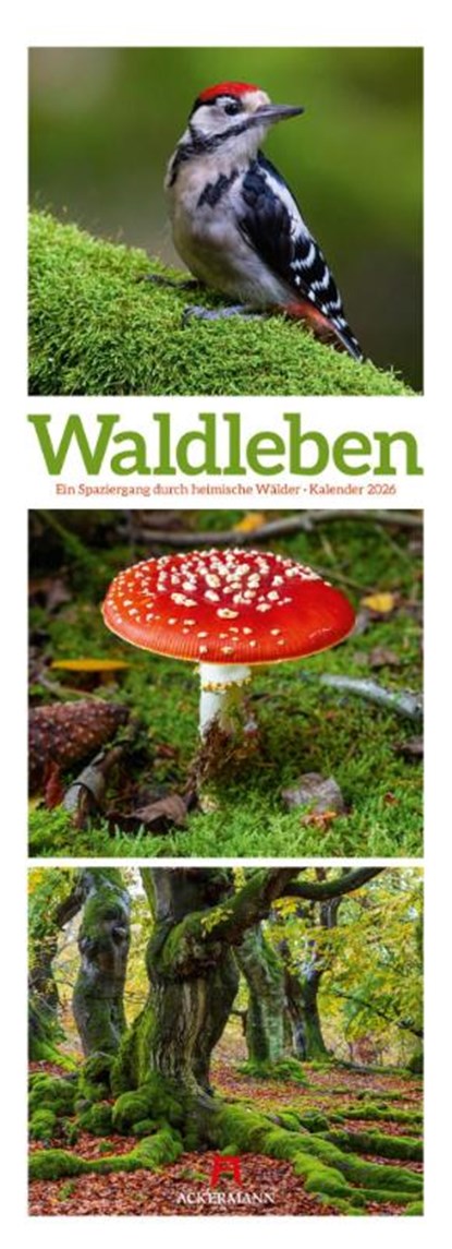 Waldleben Triplet-Kalender 2026 | Spaziergang durch heimische Wälder, Ackermann Kunstverlag GmbH - Paperback - 9783838426365