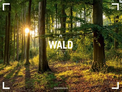 Wald Gallery Kalender 2026, Ackermann Kunstverlag GmbH - Paperback - 9783838436159
