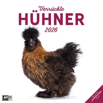 Verrückte Hühner Broschürenkalender 2026 - 30x30 - Art12, Ackermann Kunstverlag GmbH - Paperback - 9783838446196