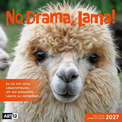 No Drama, Lama Kalender 2027 - 30x30 - Art12, Ackermann Kunstverlag GmbH - Paperback - 9783838447278