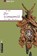 Graf, E: Schwarzwald, GRAF,  Edi - Paperback - 9783839219812