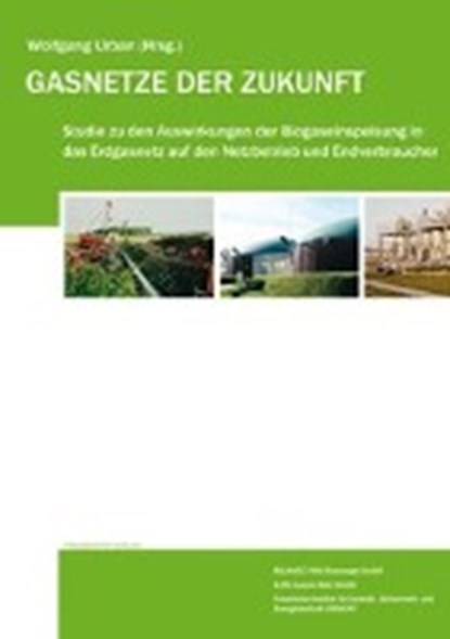 Gasnetze der Zukunft, BERGER,  Robert L. ; Bothendorf, Erik ; Klinkert, Volker ; Meyer-Prescher, Bernd - Paperback - 9783839601907