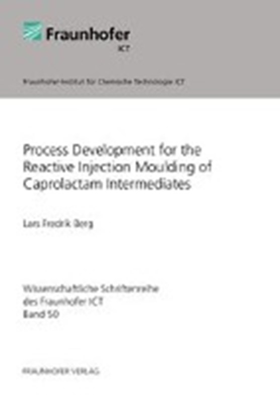 Process Development for the Reactive Injection Moulding of Caprolactam Intermediates
