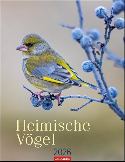 Heimische Vögel Kalender 2026, niet bekend - Paperback - 9783839902295