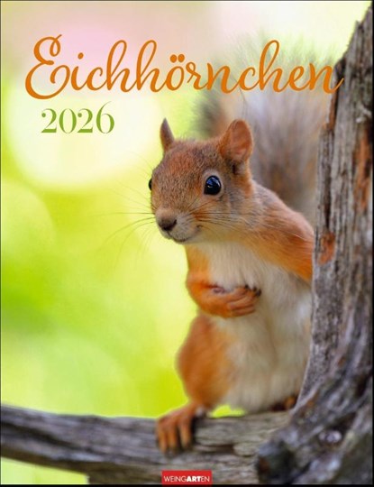 Eichhörnchen Kalender 2026, niet bekend - Paperback - 9783839902332