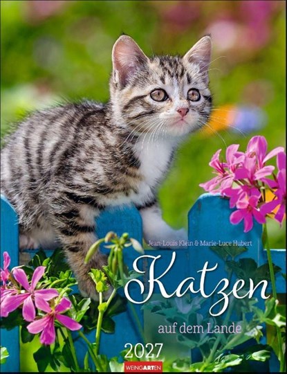 Katzen auf dem Lande Kalender 2027, niet bekend - Paperback - 9783839903698