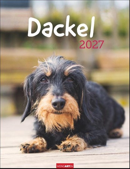 Dackel Kalender 2027, niet bekend - Paperback - 9783839903780
