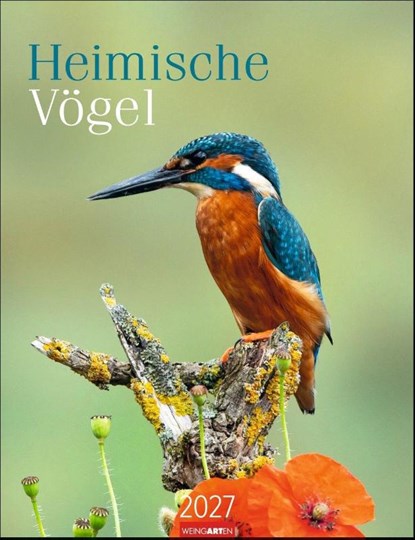 Heimische Vögel Kalender 2027, niet bekend - Paperback - 9783839903889