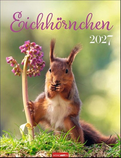 Eichhörnchen Kalender 2027, niet bekend - Paperback - 9783839903926