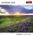 Lichtblicke 2019, niet bekend - Paperback - 9783840018916