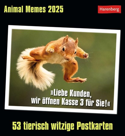 Animal Memes Postkartenkalender 2025 - 53 tierisch witzige Postkarten, Elena Merschhemke - Paperback - 9783840035012