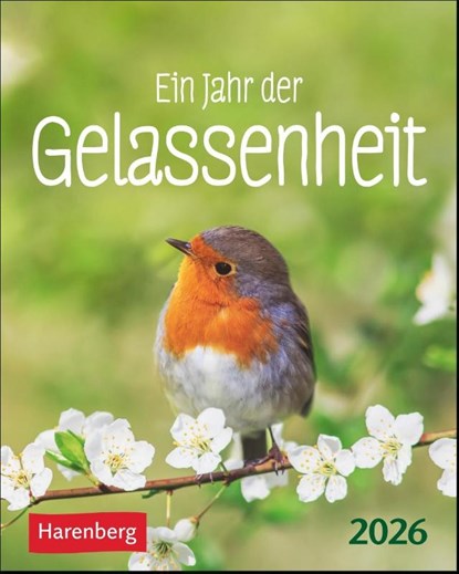 Ein Jahr der Gelassenheit Mini-Geschenkkalender 2026, Ann Christin Artel - Paperback - 9783840036415