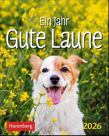 Ein Jahr gute Laune Mini-Geschenkkalender 2026, Beatrix Braukmüller - Paperback - 9783840036712