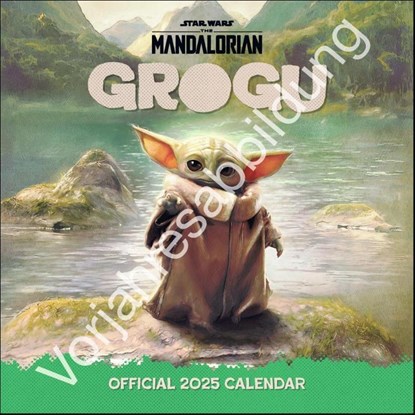 The Mandalorian Broschurkalender 2026, |Heye - Paperback - 9783840197062