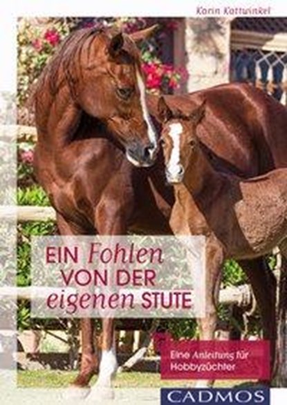 Ein Fohlen von der eigenen Stute, Karin Kattwinkel - Paperback - 9783840415135