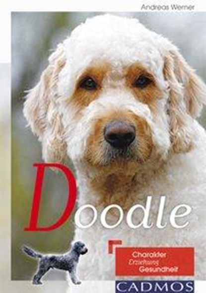 Doodle, ANDREAS,  Werner - Paperback - 9783840428180