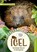 Erlebnisbuch Igel, Christine Weidenweber - Paperback - 9783840430626