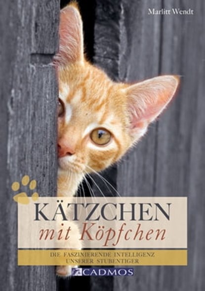 Kätzchen mit Köpfchen, Marlitt Wendt - Ebook - 9783840460944
