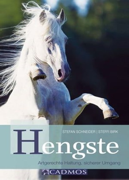 Hengste, Stefan Schneider ; Steffi Birk - Ebook - 9783840461002