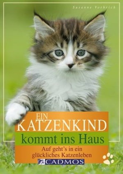 Ein Katzenkind kommt ins Haus, Susanne Vorbrich - Ebook - 9783840463150