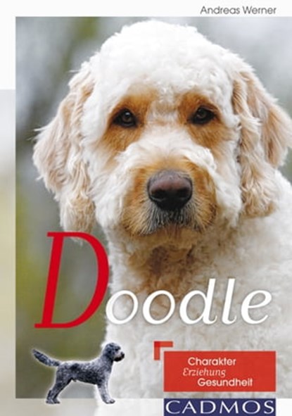 Doodle, Andreas Werner - Ebook - 9783840463778