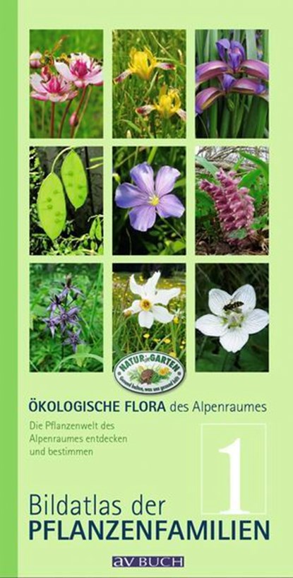 Ökologische Flora des Alpenraumes, Band 1, Wolfgang Holzner ; Wolfgang Adler ; Matthias Kropf ; Silvia Winter - Ebook - 9783840467233