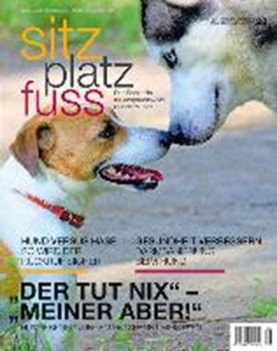 StizPlatzFuss, Ausgabe 28