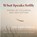 What Speaks Softly, Myriam Hidber Dickinson - Paperback - 9783842396074