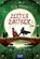 Zeitenzauber - Die goldene Brücke, Eva Völler - Paperback - 9783843210805