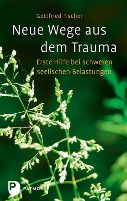 Neue Wege aus dem Trauma, Gottfried Fischer - Paperback - 9783843600507